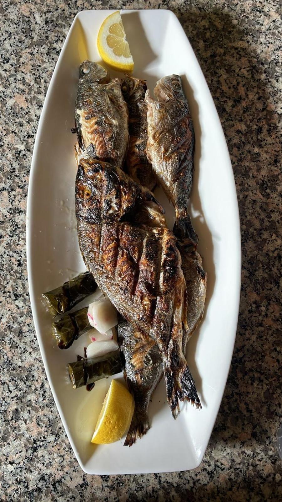 Maxola'S Dream Orikum酒店 外观 照片